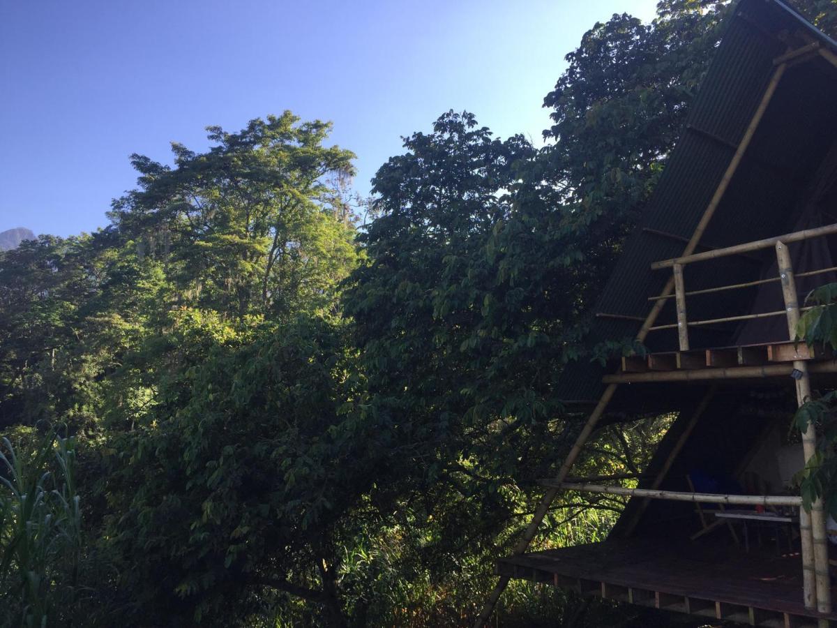 Glamping El Arbol En La Casa Villa San Antonio del Tequendama ภายนอก รูปภาพ