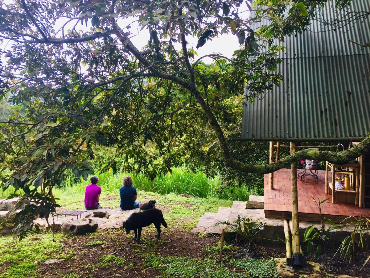 Glamping El Arbol En La Casa Villa San Antonio del Tequendama ภายนอก รูปภาพ