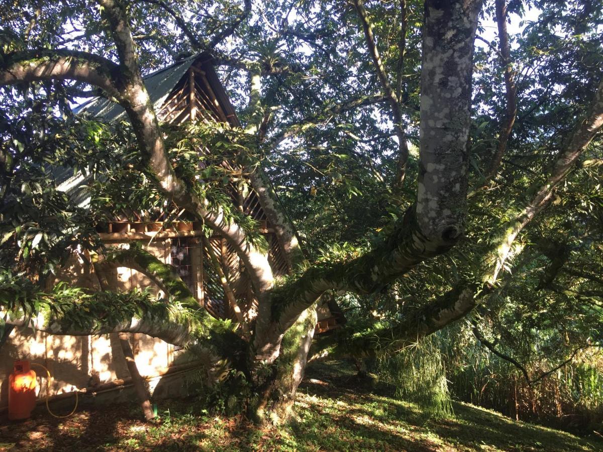 Glamping El Arbol En La Casa Villa San Antonio del Tequendama ภายนอก รูปภาพ