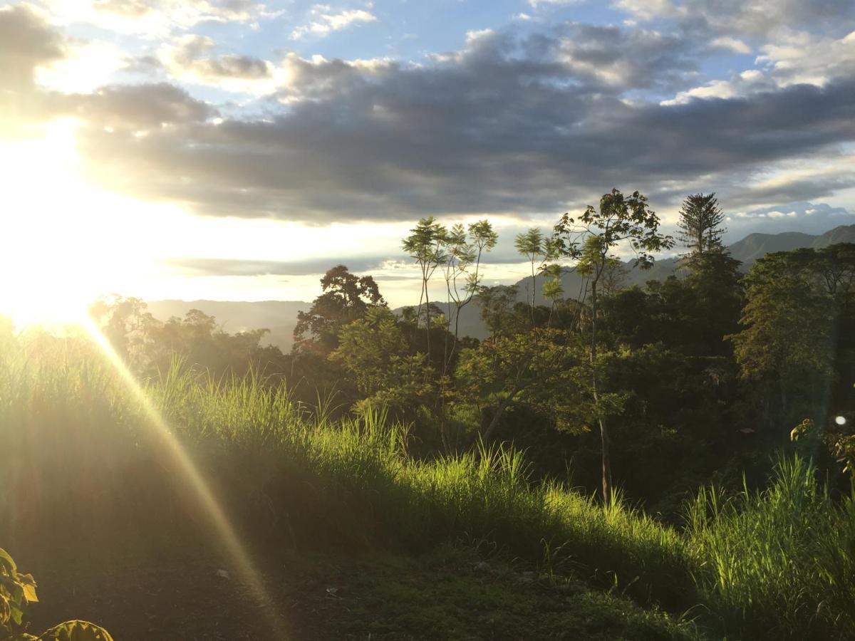 Glamping El Arbol En La Casa Villa San Antonio del Tequendama ภายนอก รูปภาพ