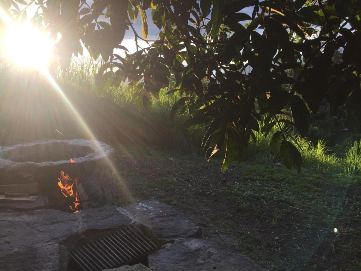 Glamping El Arbol En La Casa Villa San Antonio del Tequendama ภายนอก รูปภาพ