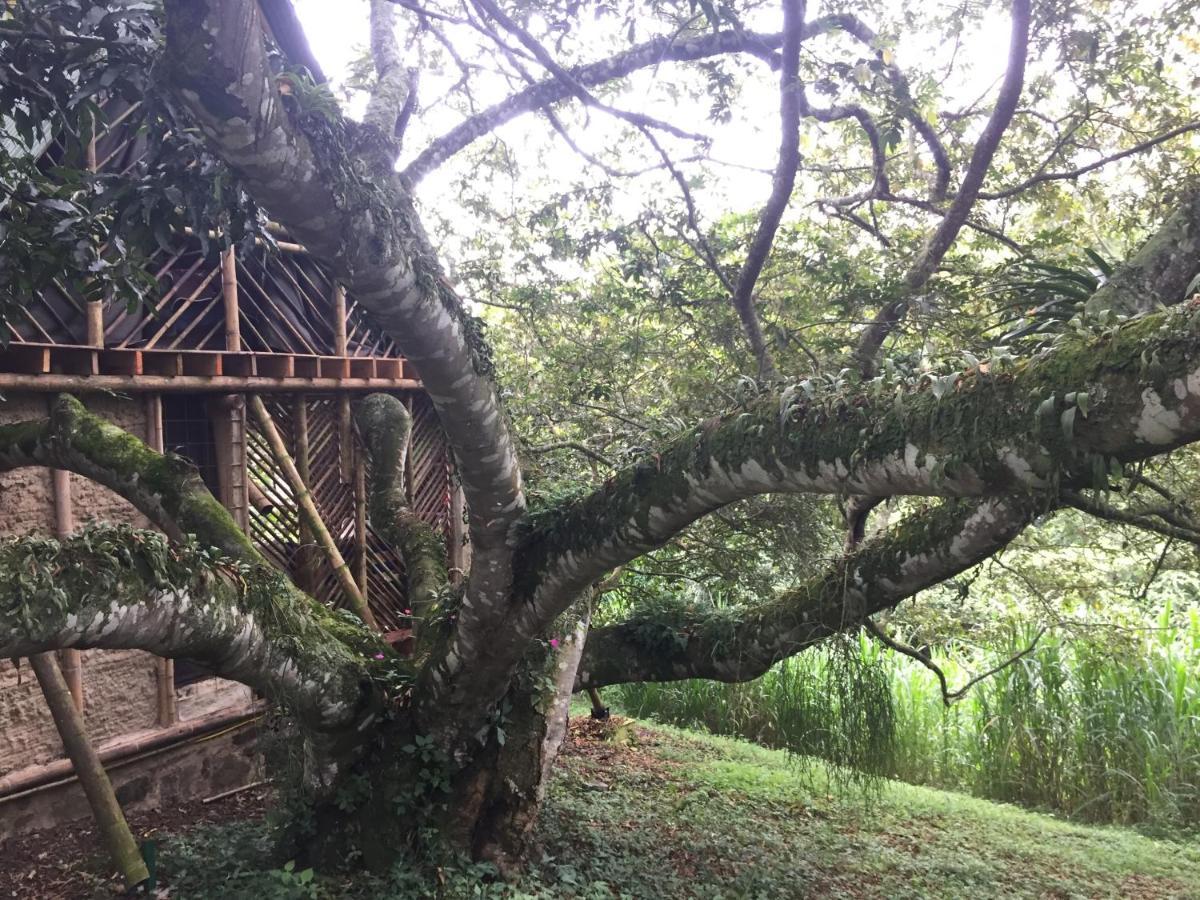 Glamping El Arbol En La Casa Villa San Antonio del Tequendama ภายนอก รูปภาพ