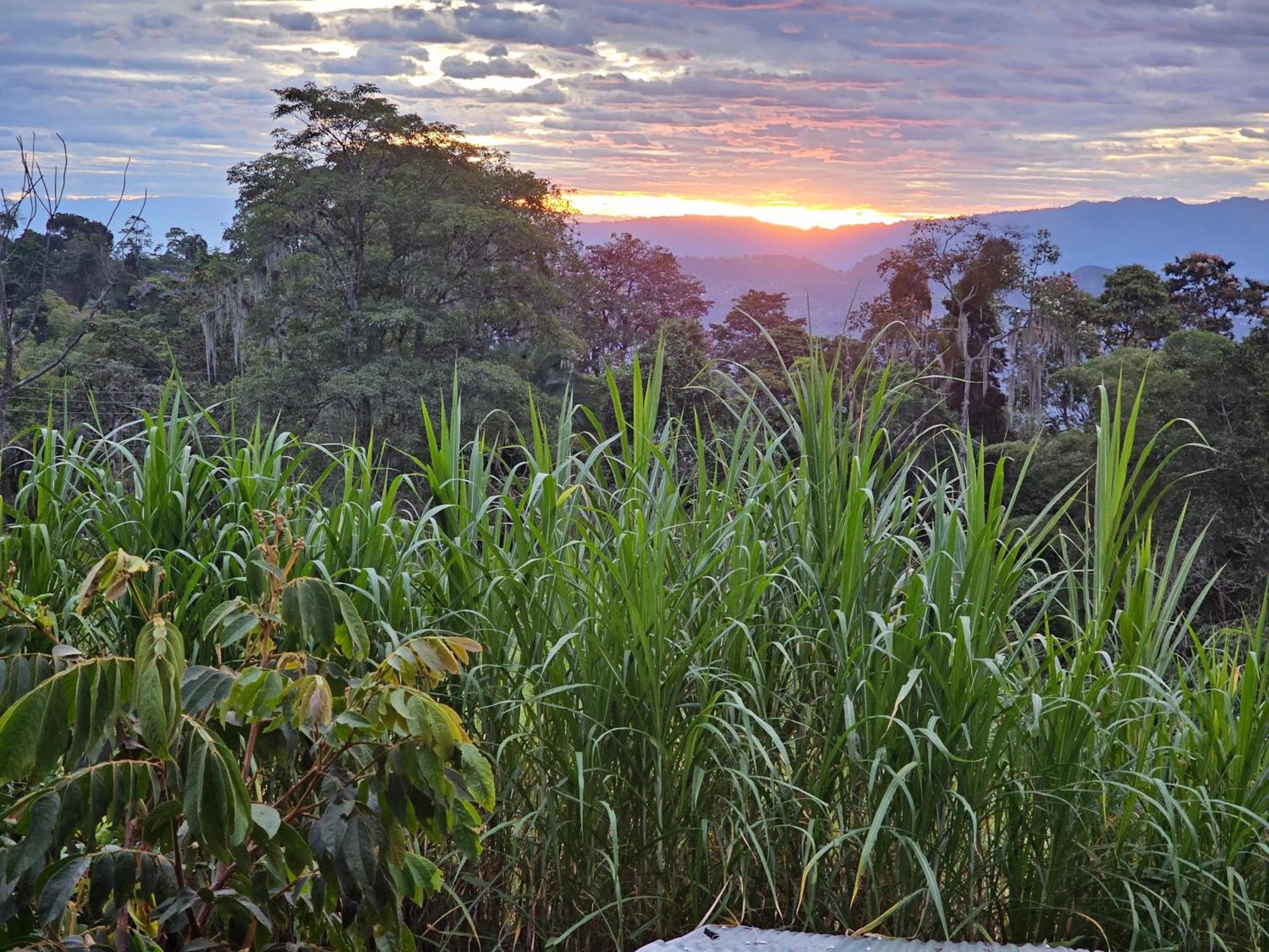 Glamping El Arbol En La Casa Villa San Antonio del Tequendama ภายนอก รูปภาพ